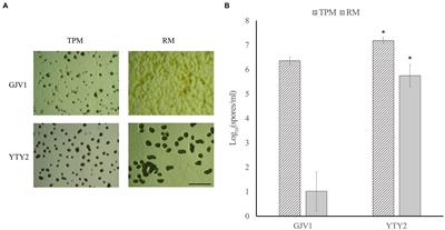 Mutation of rpoB Shifts the Nutrient Threshold Triggering Myxococcus Multicellular Development